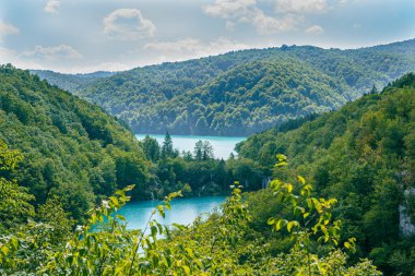 Plitvice Lakes Ulusal Parkı 'nın büyük çözünürlüklü manzarası Hırvatistan' ın orta kesimindeki ünlü bir orman rezervi. 16 teraslı göller zinciri ile bilinir, şelalelerle birleşir.