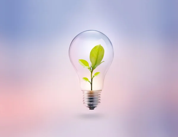 Light bulb with energy and fresh green leaves inside on pastel background — Stock Photo, Image