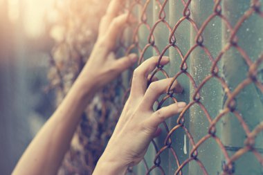 Eller sınırlı idi kadının.