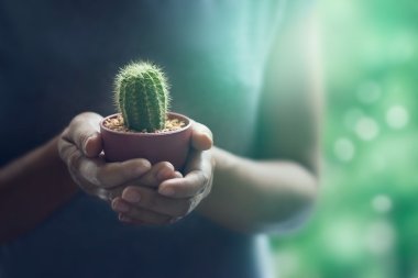 colorful woman holding a small cactus in hands gently on nature 