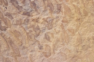 Arka plan doku kahverengi kum taşı 