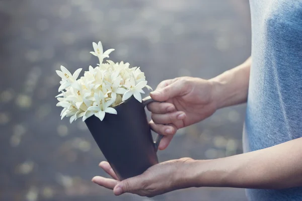 Woman hands holding white flowers in cup on falling flowers background — Stock Photo, Image
