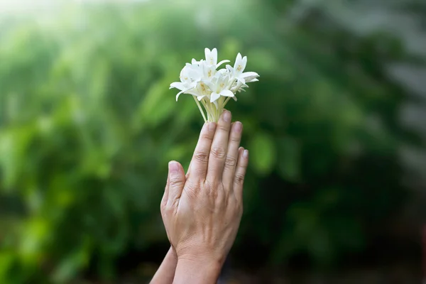 Woman praying with white flowers in hands on nature background — Stock Photo, Image