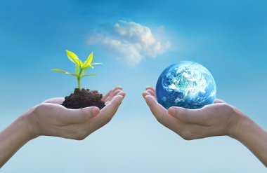 Dünya ve genç yeşil ağaç, dünya çevre günü kavramı holding eller
