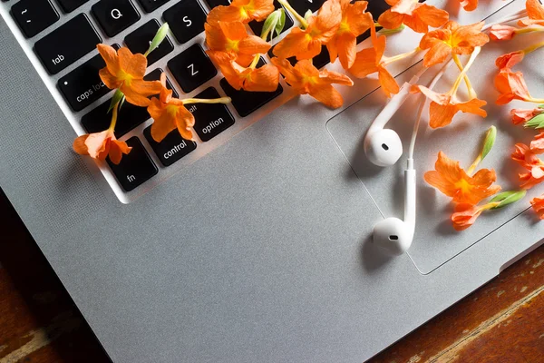 Ontspannen tijd concept, verse bloemen en oortelefoon op laptop in de zomer — Stockfoto