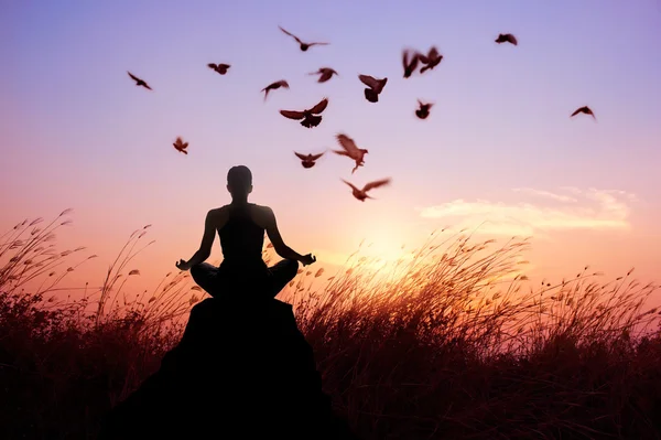 Meditación femenina y yoga con pájaros, silueta en la puesta de sol de la naturaleza — Foto de Stock