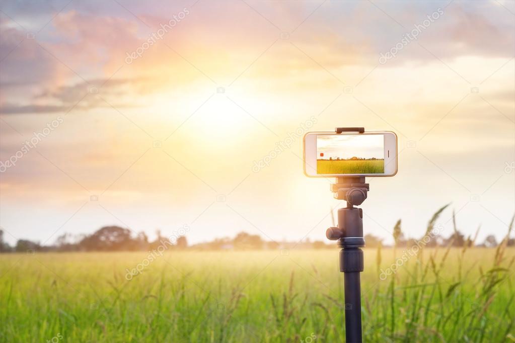 Smartphone on tripod record timelapse in the sunset nature background