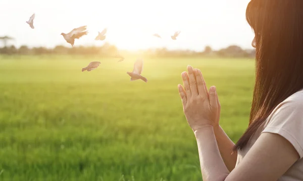 Woman respect and pray on nature background — Stock Photo, Image