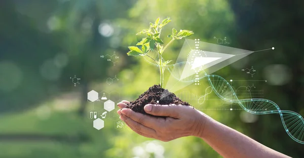 Biologia Laboratório Natureza Ciência Plantas Com Estrutura Bioquímica Fórmula Química — Fotografia de Stock