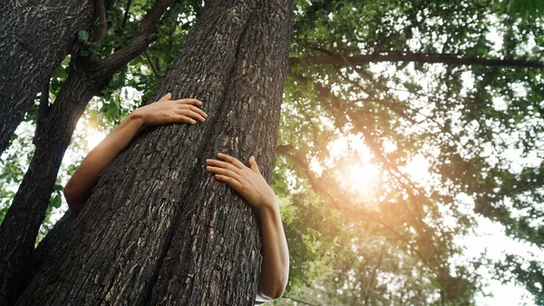 Mulher Abraçando Uma Grande Árvore Floresta Livre Ecologia Natureza Proteger — Fotografia de Stock