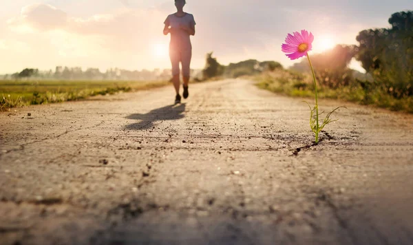 Pink Flower Growing Crack Street Woman Running Jogging Workout Rural — Stock Photo, Image