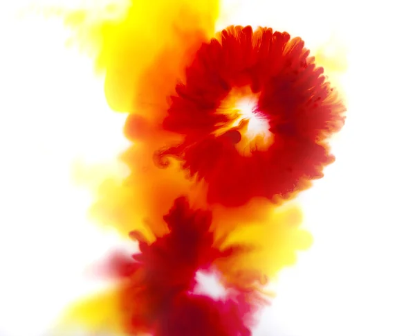 Красочный абстрактный фон цветочной концепции, красный и желтый — стоковое фото
