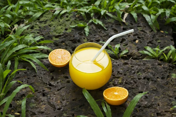 Sumo de laranja fresco e colorido sobre pedra no parque — Fotografia de Stock