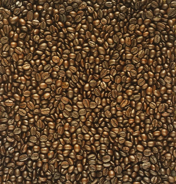 Granos de café tostados para el fondo, color marrón brillante — Foto de Stock