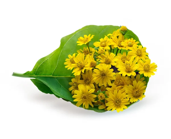 Ramo de flores frescas amarillo en la vista superior de la hoja sobre fondo blanco —  Fotos de Stock