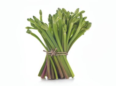 Beyaz arka plan üzerinde taze yeşil sebze bitki