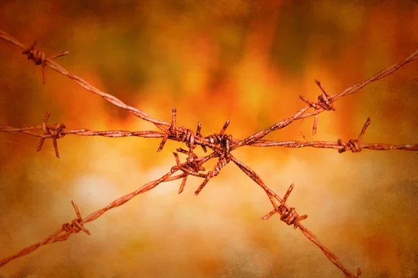 Ostnatý drát plotu na pulzující vinobraní pozadí — Stock fotografie