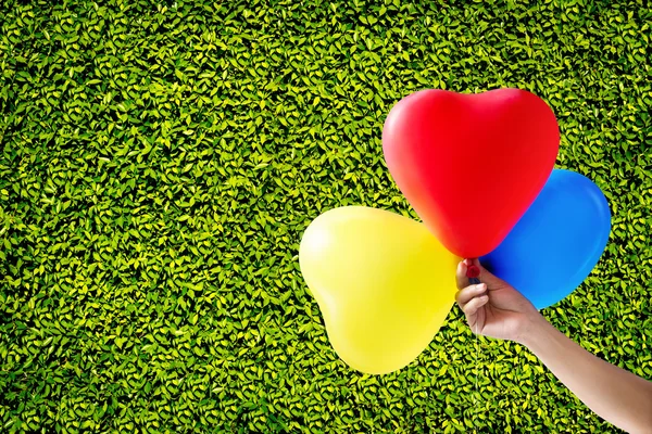 Colorful balloons on green leaves wall for background — Stock Photo, Image