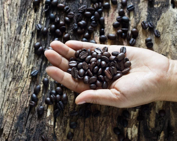 Granos de café en manos sobre fondo de madera — Foto de Stock