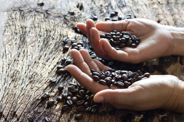 Granos de café en manos sobre fondo de madera — Foto de Stock