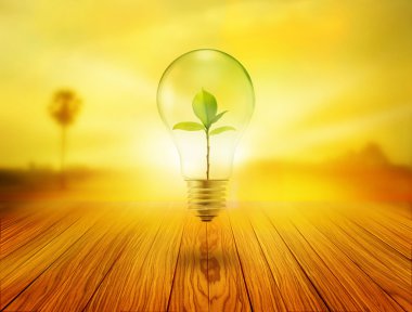 Ampul içinde yeşil ağaçlı üzerinde ahşap Sunrise ışık