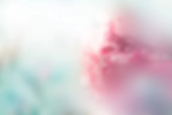 Abstract flower pastel blur for background, soft and blur concep — Stock Photo, Image