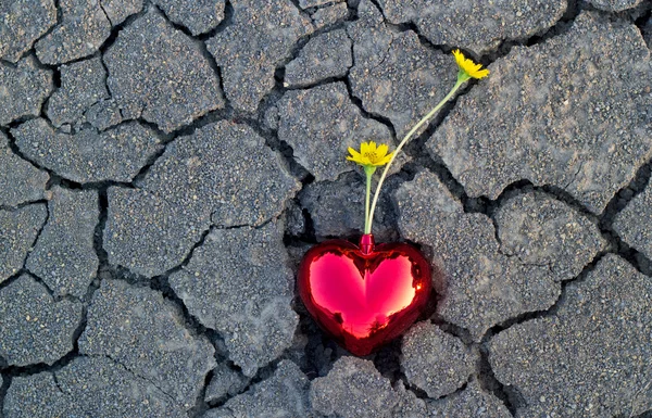 Abstract yellow flowers in red heart shape on crack ground nature — Stock Photo, Image
