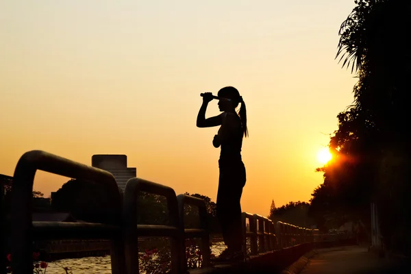 Mujer con nunchaku en las manos silueta en la puesta del sol, artes marciales — Foto de Stock