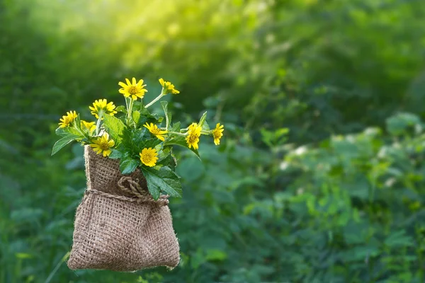 Fleurs jaunes fleurs dans le sac sur fond de nature — Photo