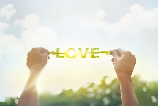 Abstract, holding a green leaf in the word love on vibrant cloud sky — Stock Photo, Image