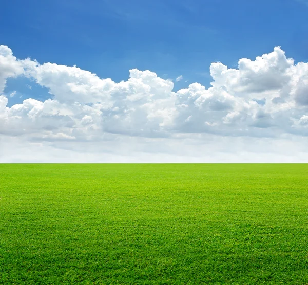 Lush grass field and blue sky background, soft focus — Stock Fotó