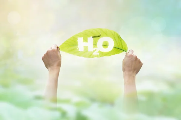 Озил, держа зеленый лист в слове H2O на оживленном природном фоне — стоковое фото
