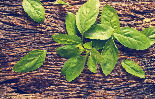 Hojas de albahaca orgánica fresca en cuenco de madera sobre fondo rústico de madera, tono de color vintage — Foto de Stock