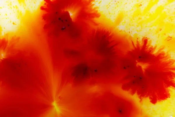 Абстрактний червоний квітковий концепт живопису для фону, м'який і розмитий стиль — стокове фото