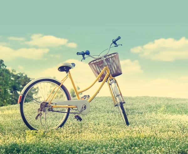 Bicicleta en el campo de flores blancas y hierba en el fondo de la naturaleza sol, Pastel y tono de color vintage — Foto de Stock