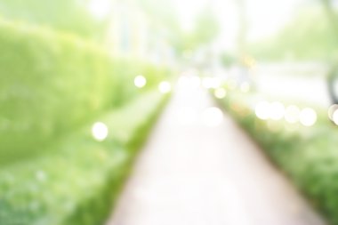 Parkta ağaç doğa duvar arasında bulanık yan yürüyüş