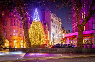 Londra, Mayfair 'de Noel ağacı