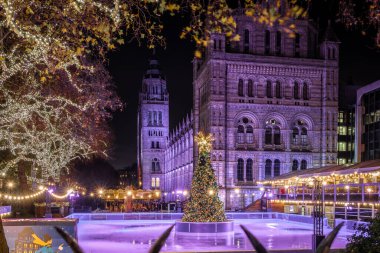 Londra 'da Doğa Tarihi Müzesi yakınlarında buz pateni pisti