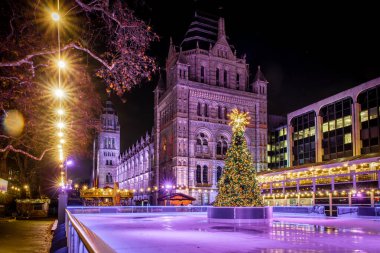 Londra 'da Doğa Tarihi Müzesi yakınlarında buz pateni pisti
