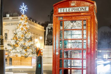 Waterloo 'daki Noel ağacı, Londra