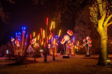 Noel zamanı Kew Gardens, Londra, İngiltere