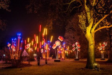 Noel zamanı Kew Gardens, Londra, İngiltere
