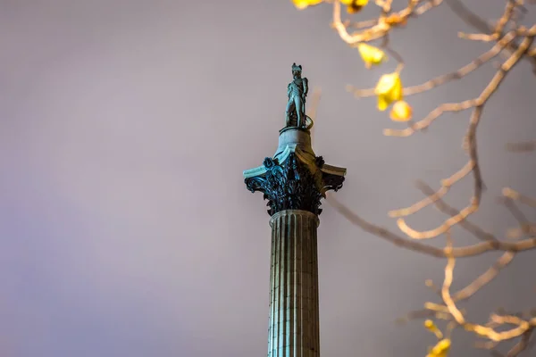 Nelson\'s Column in Trafalgar Square, London, UK