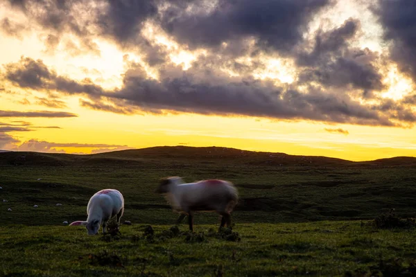 Blick Auf Das Mom Tor Peak District Einem Hochland England — Stockfoto