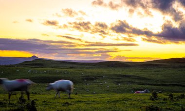 Annemin Peak Bölgesi 'ndeki manzarası, İngiltere' nin Pensilvanya 'nın güney ucunda bir tepelik bölge.