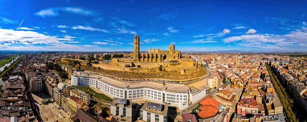 スペイン北東部カタルーニャ地方の古代都市リダにあるゴシック ロマネスク様式の大聖堂の空中写真 — ストック写真