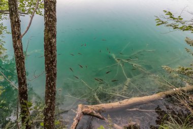 Hırvatistan 'da Plitvice göllerinin manzarası