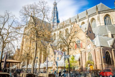 Hollanda, Haarlem 'deki St. Bavo' nun klasik gotik katedrali