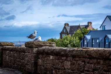 Ness Nehri 'nin Moray Firth ile buluştuğu İskoçya' nın kuzeydoğu kıyısındaki Inverness şehri. İskoçya 'nın en büyük şehri ve kültürel başkentidir..