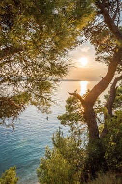 Yazın Adriyatik deniz manzarası